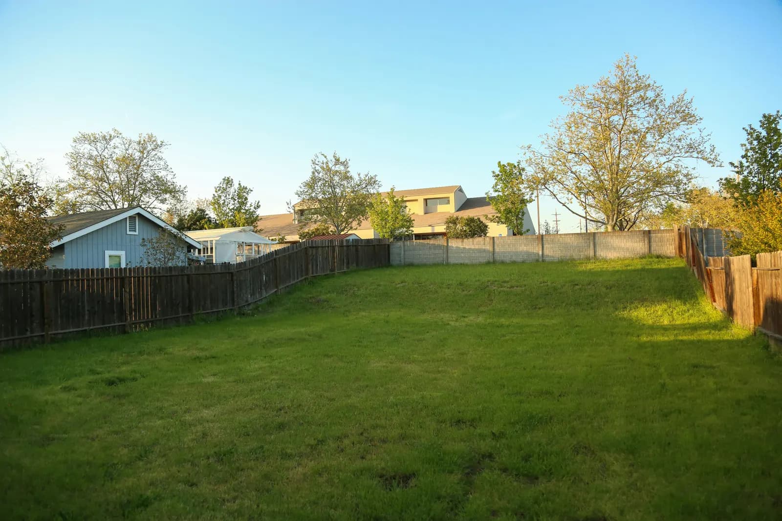 A real garden before redesign